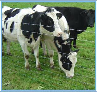 QQ截圖20180806142009.jpg QQ截圖20180806142009.jpg